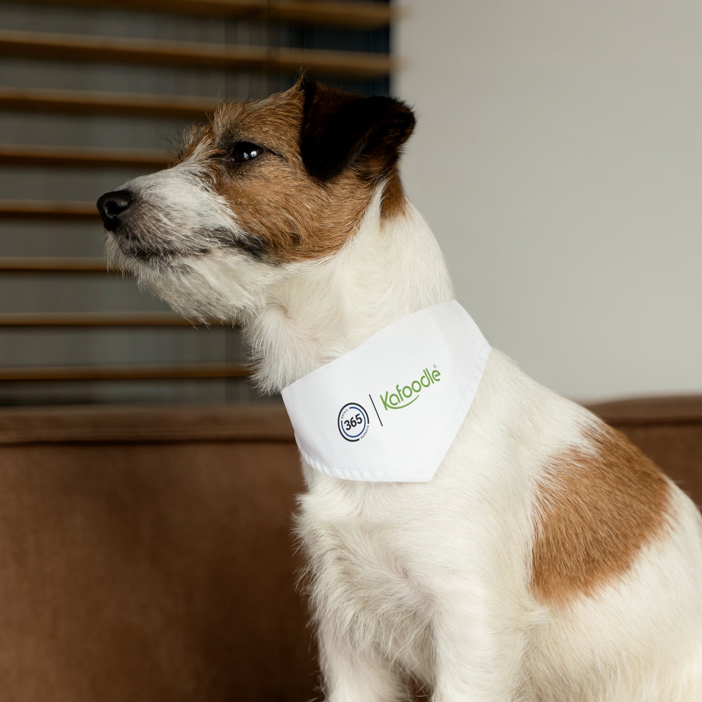 Pet Bandana Collar