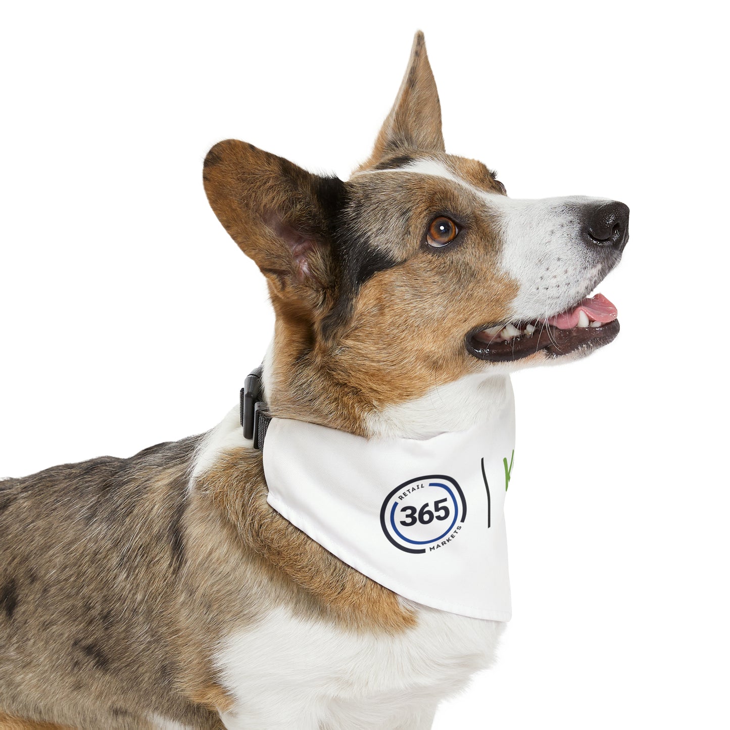 Pet Bandana Collar